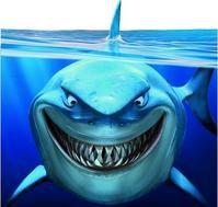 海洋之星2代之金鯊銀鯊 海洋之星2代之金鯊銀鯊