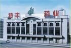 新疆特豐藥業股份有限公司 新疆特豐藥業股份有限公司