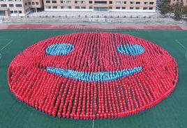 世界最大笑臉 世界最大笑臉