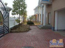 白竹水鄉 白竹水鄉