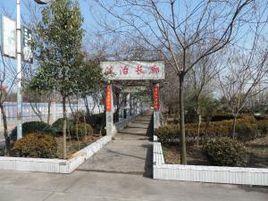 權樓村[山東單縣權樓村]