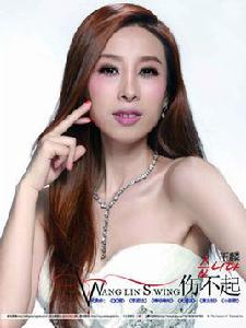 傷不起[內地2012年王麟演唱歌曲]