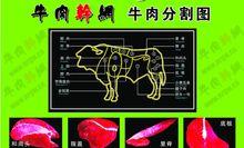 牛肉分割圖