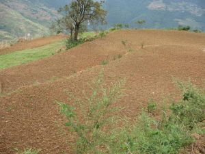 下先進村 下先進村