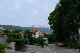 華景園別墅 華景園別墅