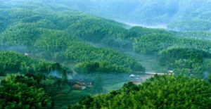 長寧竹海自然保護區 長寧竹海自然保護區