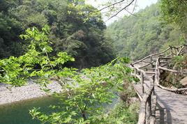 楊壩自然景區 楊壩自然景區