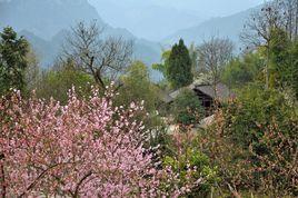 隴木洞村 隴木洞村