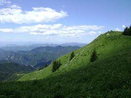 雲南轎子山國家級自然保護區 雲南轎子山國家級自然保護區
