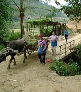 下位單村 下位單村