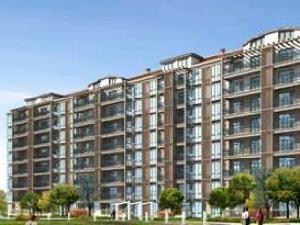 博士後嘉園 博士後嘉園