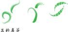 三韻茗茶 三韻茗茶