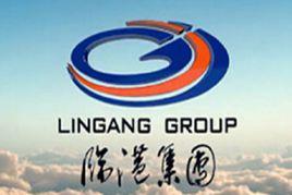 上海臨港經濟發展集團有限公司 上海臨港經濟發展集團有限公司