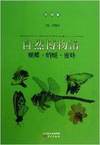 自然博物館:蝴蝶·蜻蜓·蜜蜂 自然博物館:蝴蝶·蜻蜓·蜜蜂