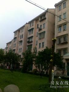 淞南八村 淞南八村