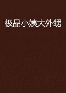 極品小姨大外甥 極品小姨大外甥