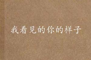 我看見的你的樣子 我看見的你的樣子