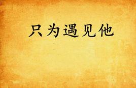 只為遇見他 只為遇見他