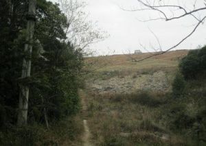 胡宅仙岩嶺古道 胡宅仙岩嶺古道