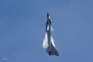 普加喬夫眼鏡蛇