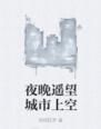 夜晚遙望城市上空 夜晚遙望城市上空