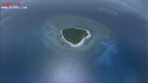 《珊瑚礁歷險記 》精彩劇照