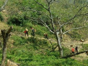 火山下村 火山下村