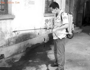 崇仁街城管隊員在尚義社區牆角漬水處，噴藥滅蚊