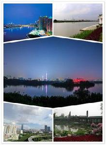 海珠[廣東省廣州市管轄區]