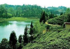 芙蓉度假區 芙蓉度假區