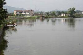 幸福村[江蘇靖江市侯河鄉下轄村]