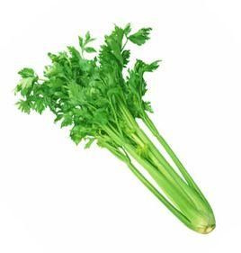 香芹菜 香芹菜