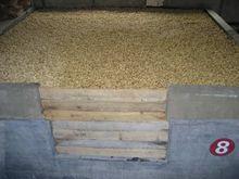 龍巖鹹酥花生生產環境