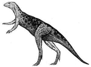 賴索托龍 賴索托龍