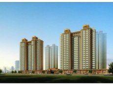 良城國際 良城國際