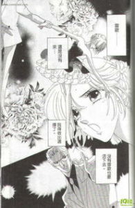 頂尖淑女 頂尖淑女