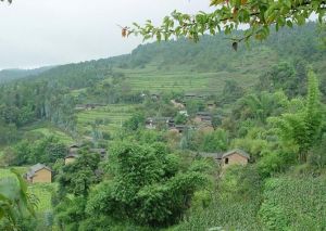 柳樹壩村 柳樹壩村