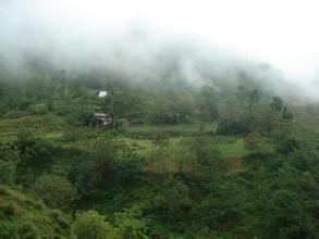 九龍坡自然村 九龍坡自然村