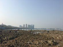 山東省煙臺市萊山區煙臺漁人碼頭