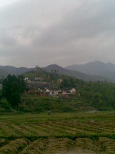 橋市鄉大蒲竹村