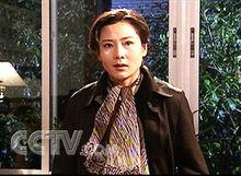 至高利益[電視劇《至高利益》]