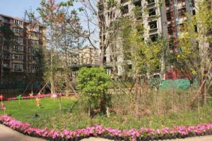 春柳公園 春柳公園