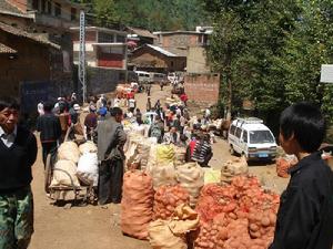 八道拐自然村[大水井行政村下轄自然村]