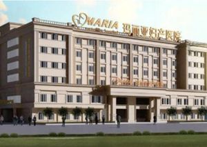 成都瑪麗亞婦產醫院 成都瑪麗亞婦產醫院