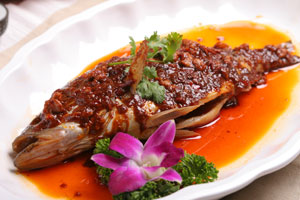 醃鮮桂魚