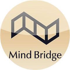 mind bridge