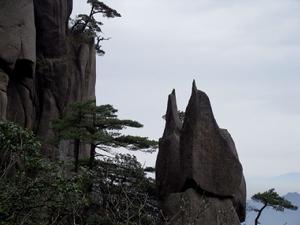 三清山--情鵝相依