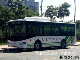 長春公交246路 長春公交246路