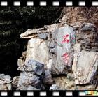 津西第一家 津西第一家