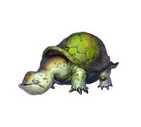 小烏龜[遊戲效果怪獸角色]